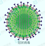 新型冠状病毒目前已知的情报汇总 18条特性